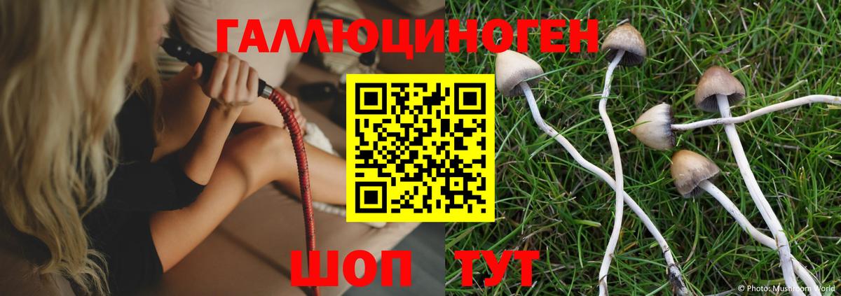 Псилоцибиновые грибы Magic Shrooms  Галлюциногенные грибы Cubensis  Мыски  Вход с VPN 