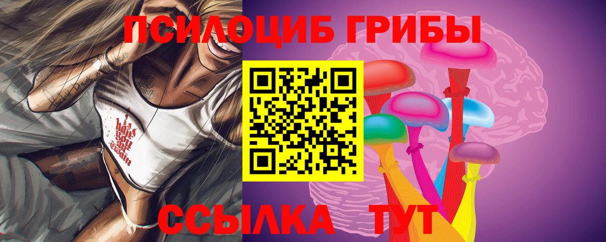 Псилоцибиновые грибы Psilocybe Мыски